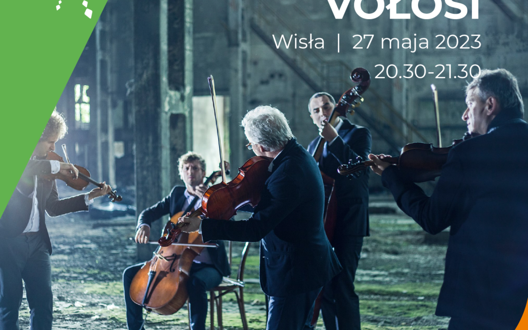 VOŁOSI zagrają pod magicznym drzewem na Cieńkowie