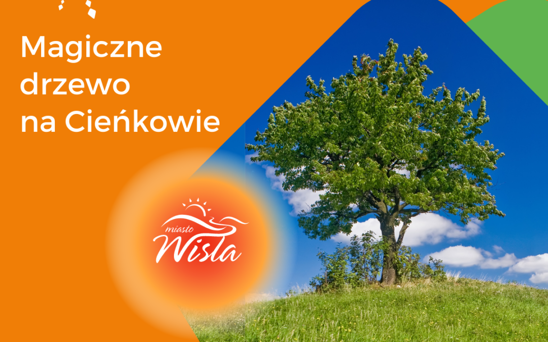 Magiczne drzewo na Cieńkowie!