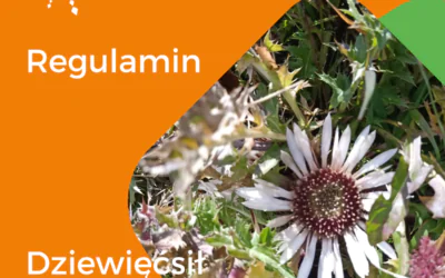 Regulamin Festiwalu Dziewięćsił